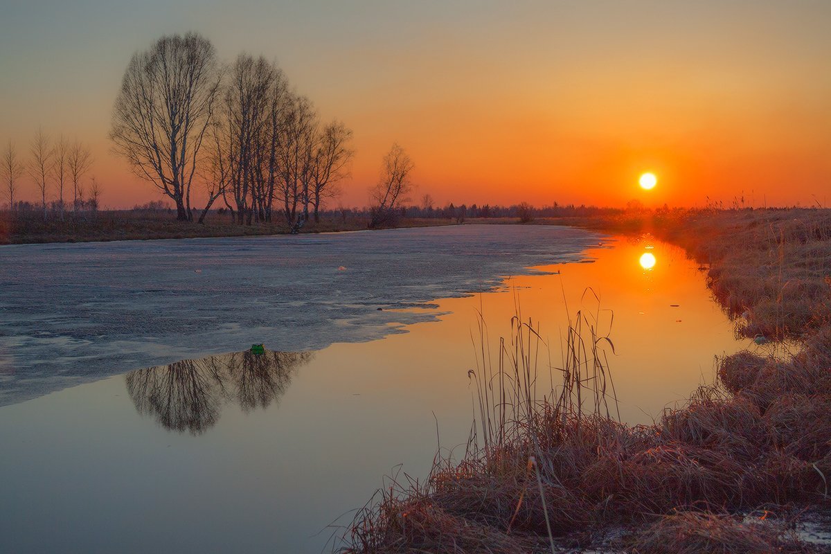 Картинки доброй ночи ранняя весна