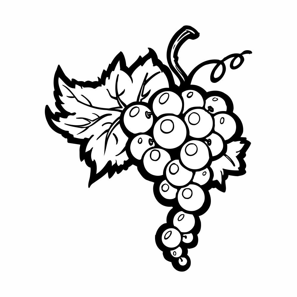 Виноград картинка для детей раскраска