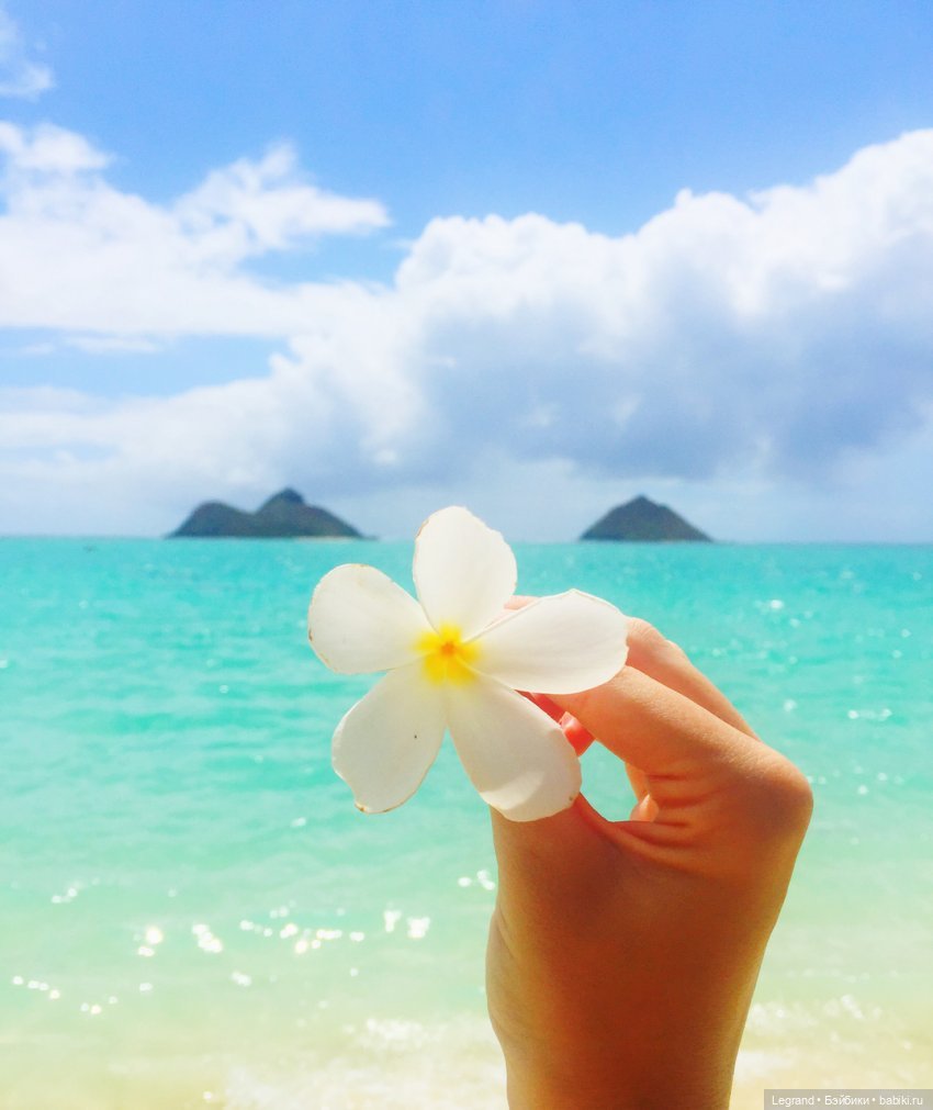 Весна картинки ватсап