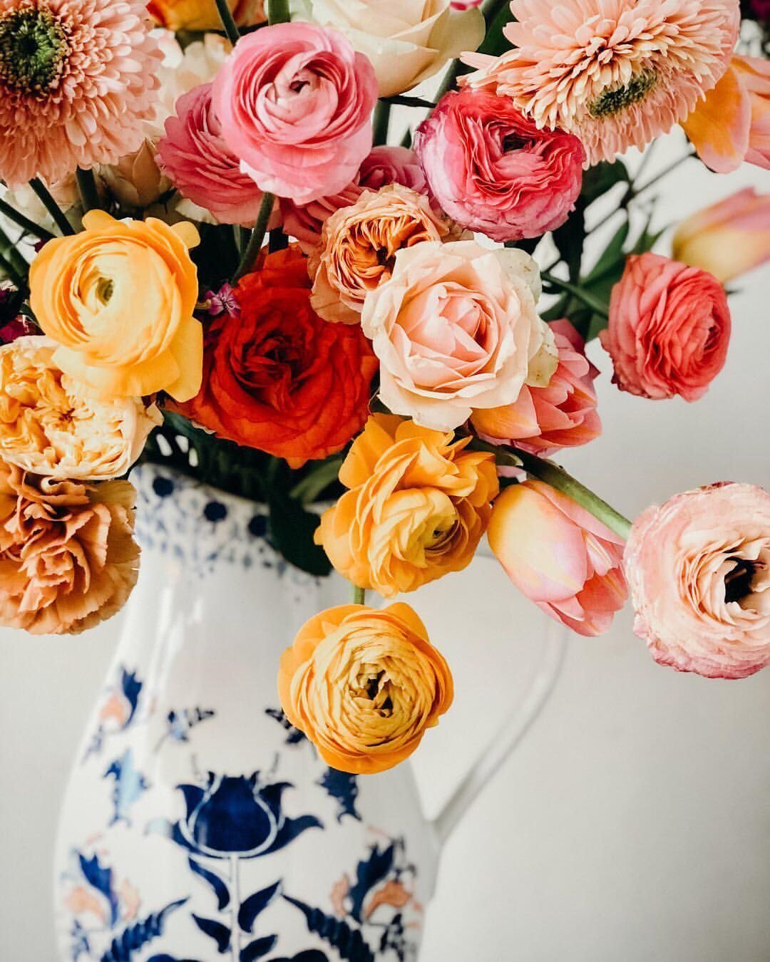 Цветок один красивый