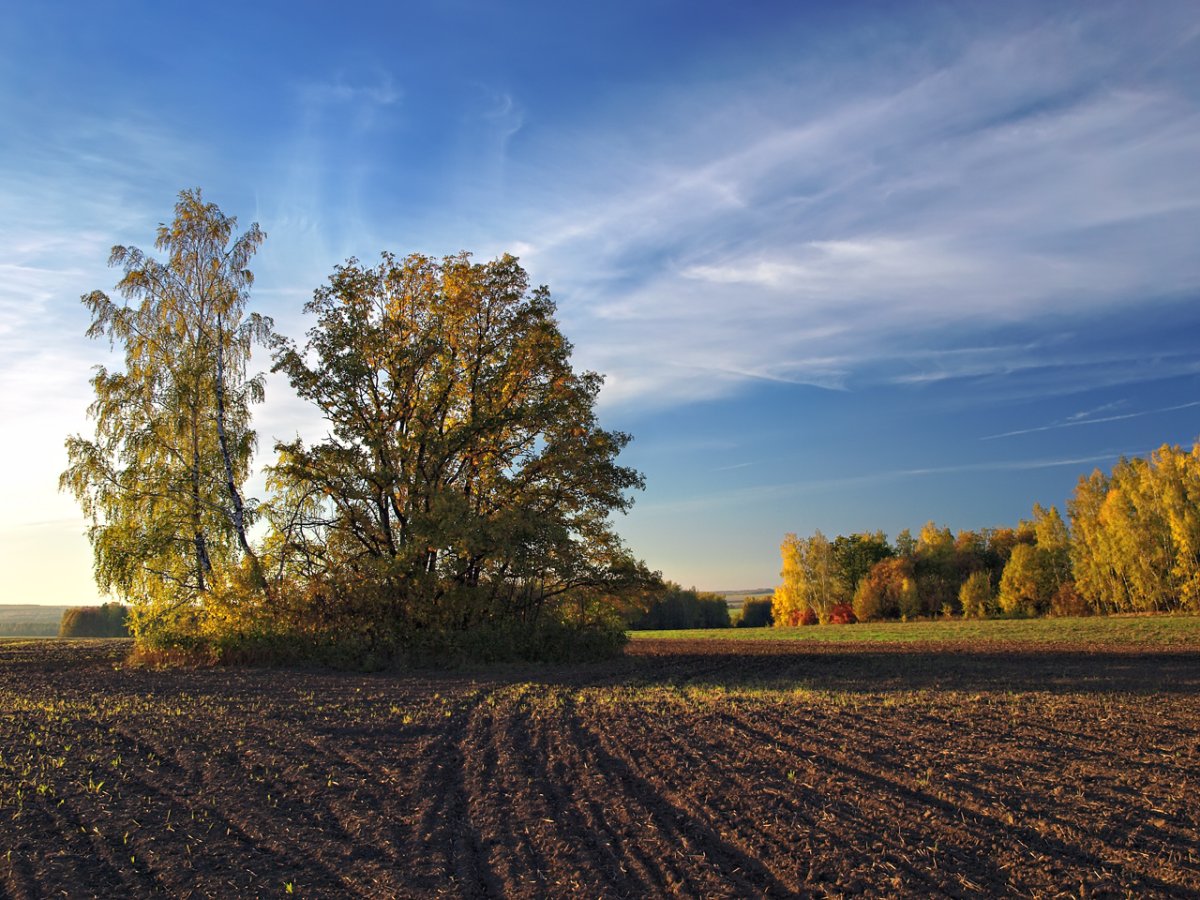 Пашня весной картинки