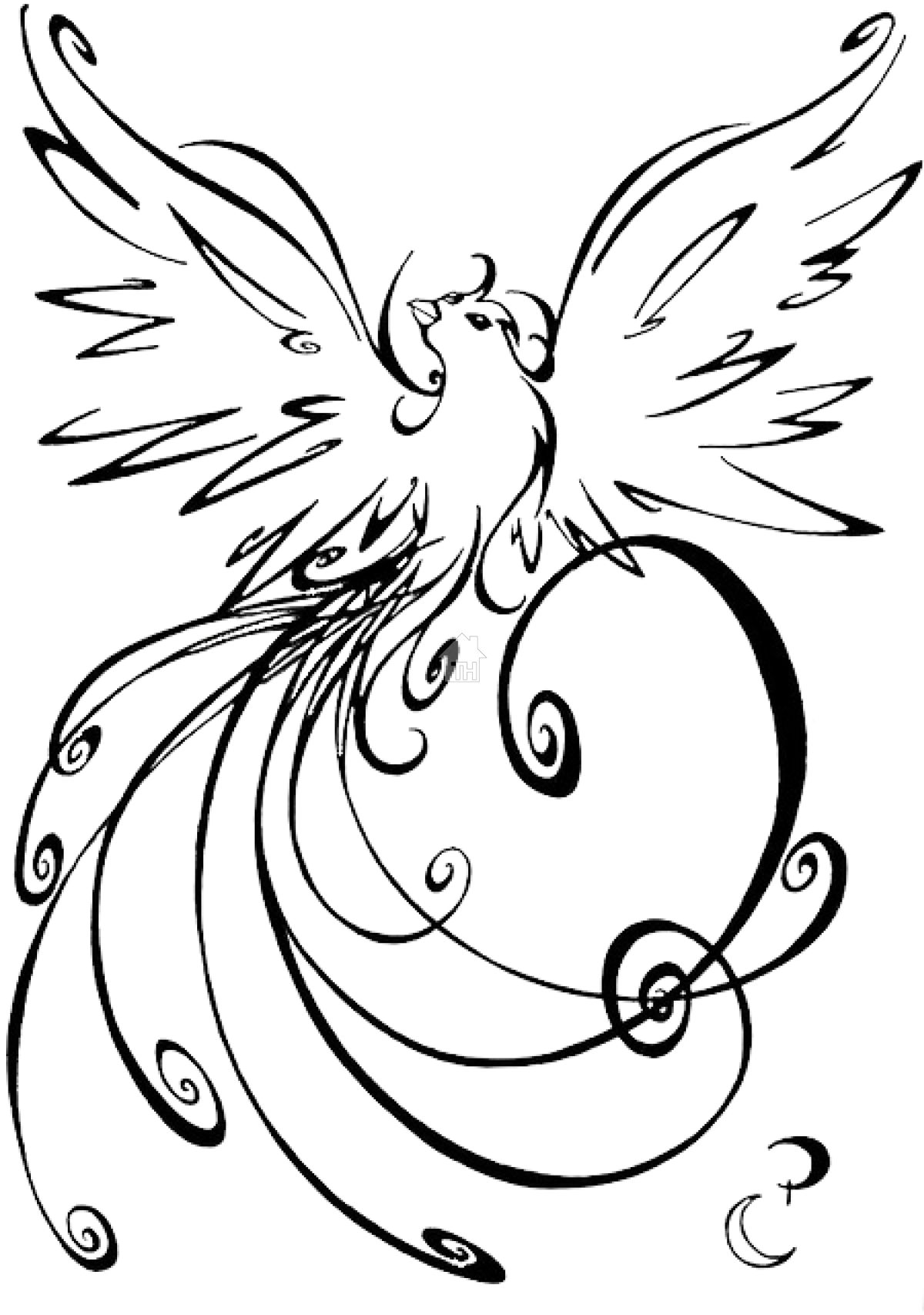 Жар птица картинка раскраска