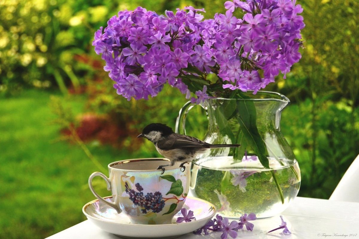 Весна добрый день картинки красивые