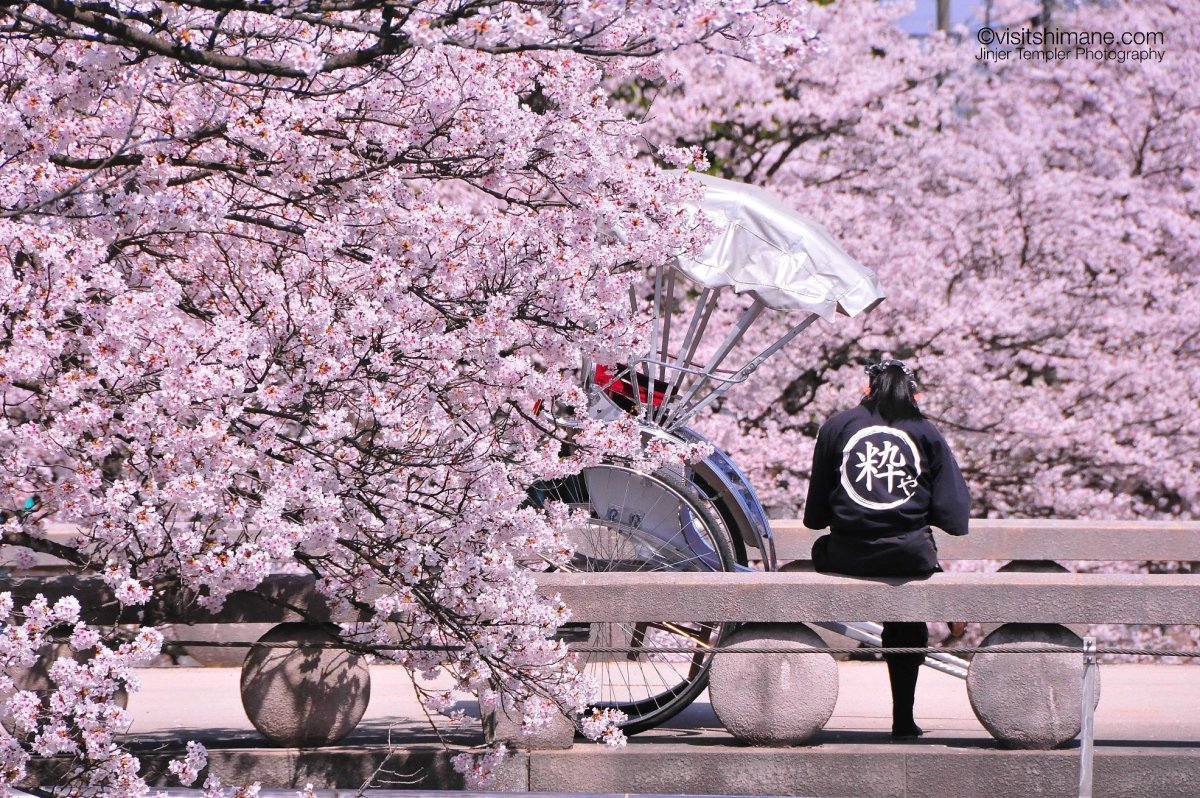 Весна в японии картинки