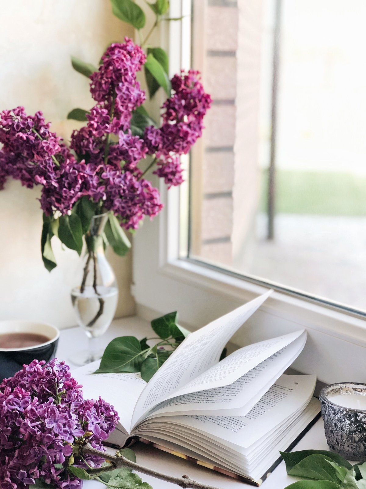 Цветы на окне