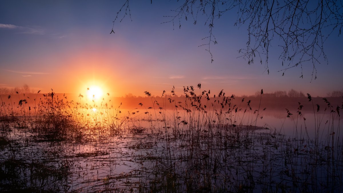 Восход солнца весной картинки