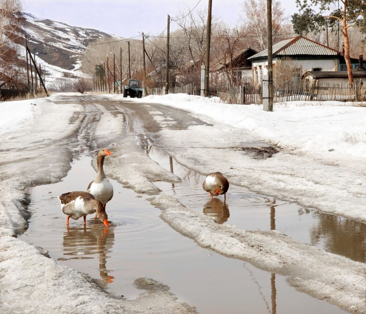 Деревня весной картинки