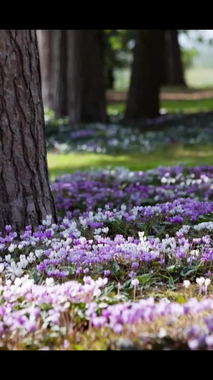 Весна картинки стихи