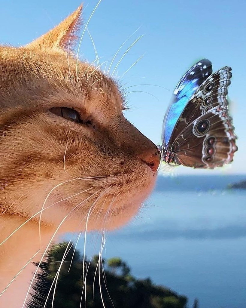 Весна на носу картинки