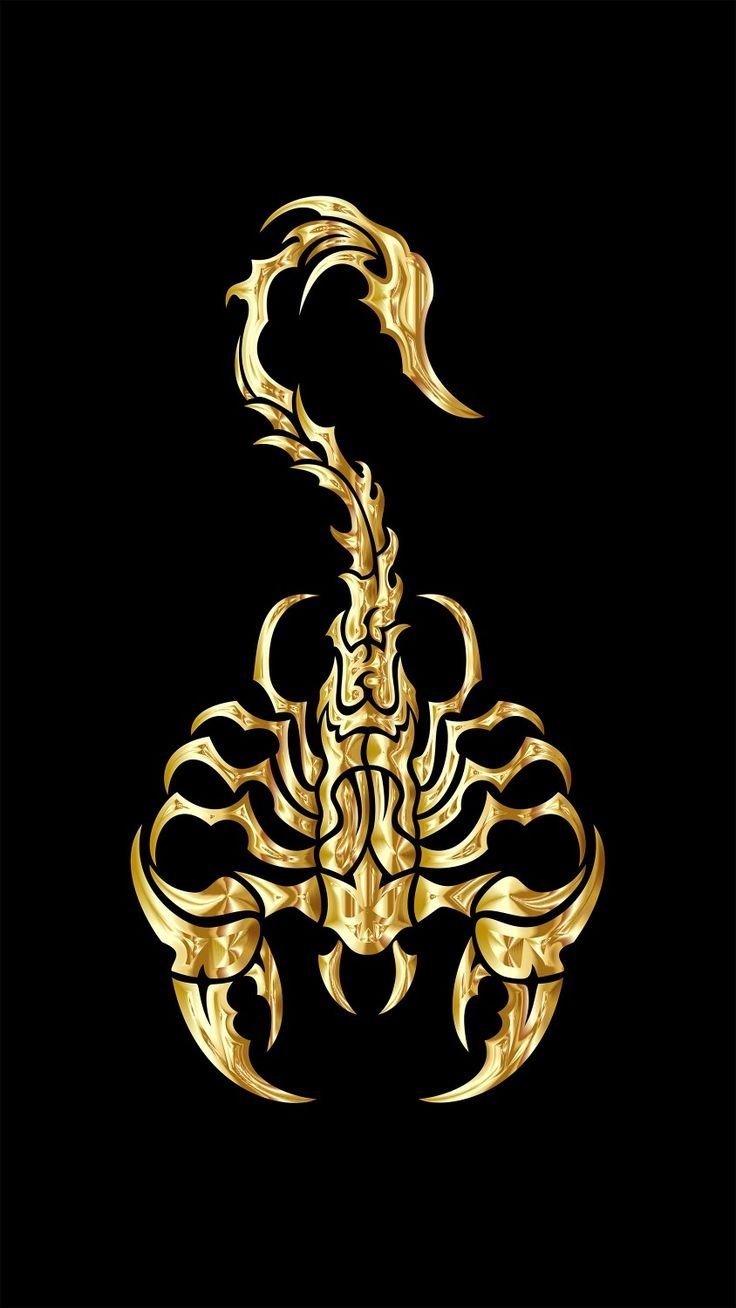 Скорпион картинки красивые для телефона