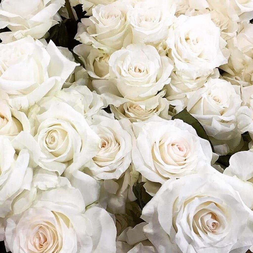 Цветы белые