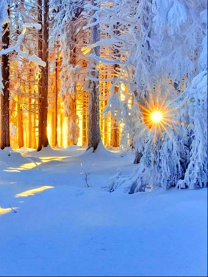 Зимний день картинки