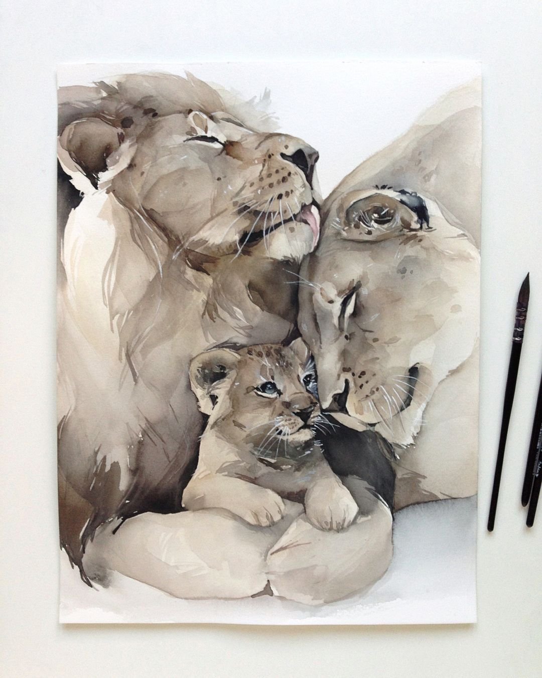 Львенок картинка рисунок