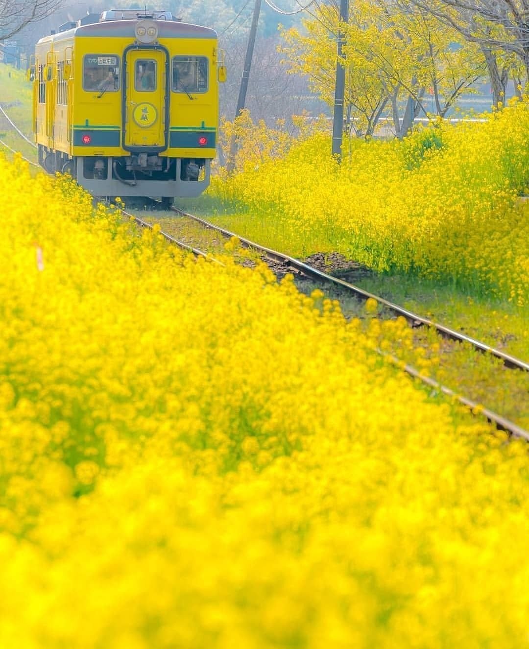 Следующая остановка весна картинки