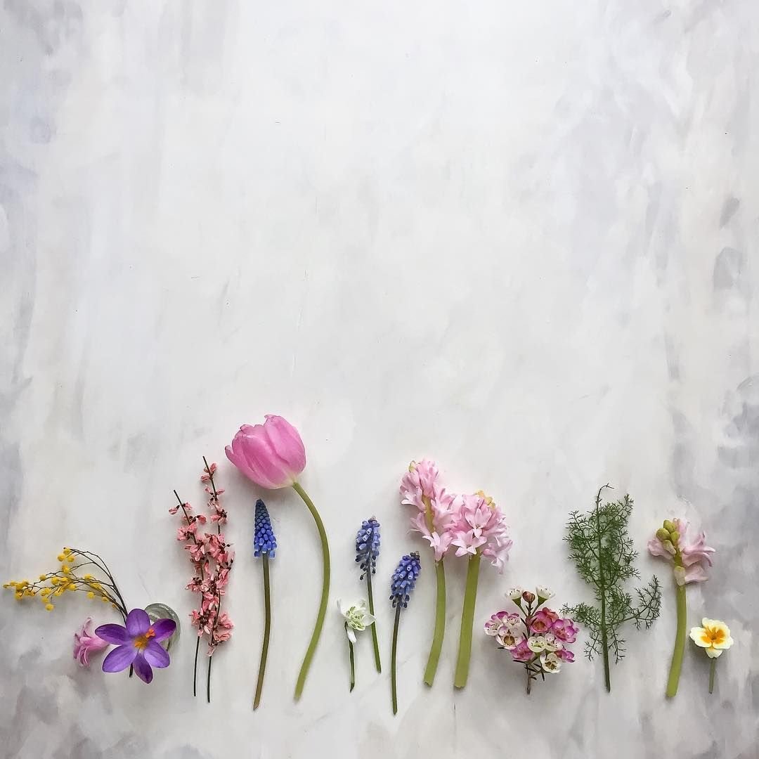 Весенний фон картинки