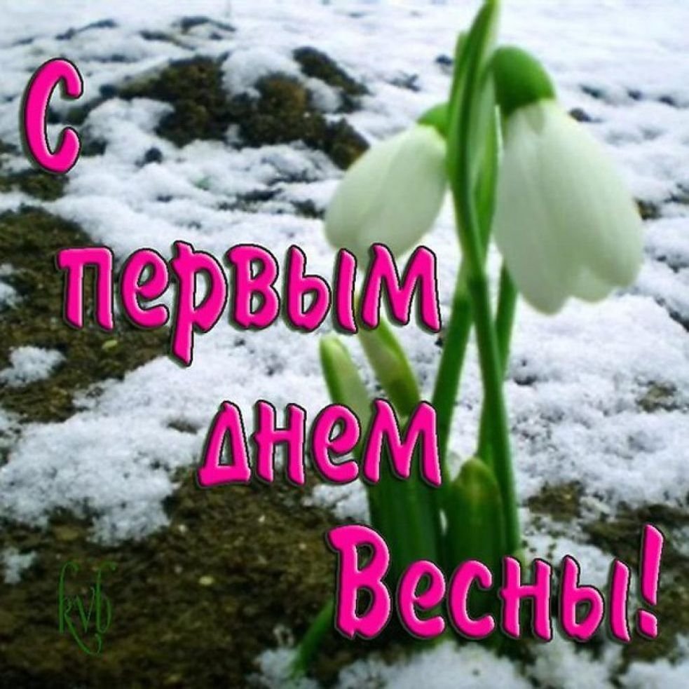Удачной весны картинки