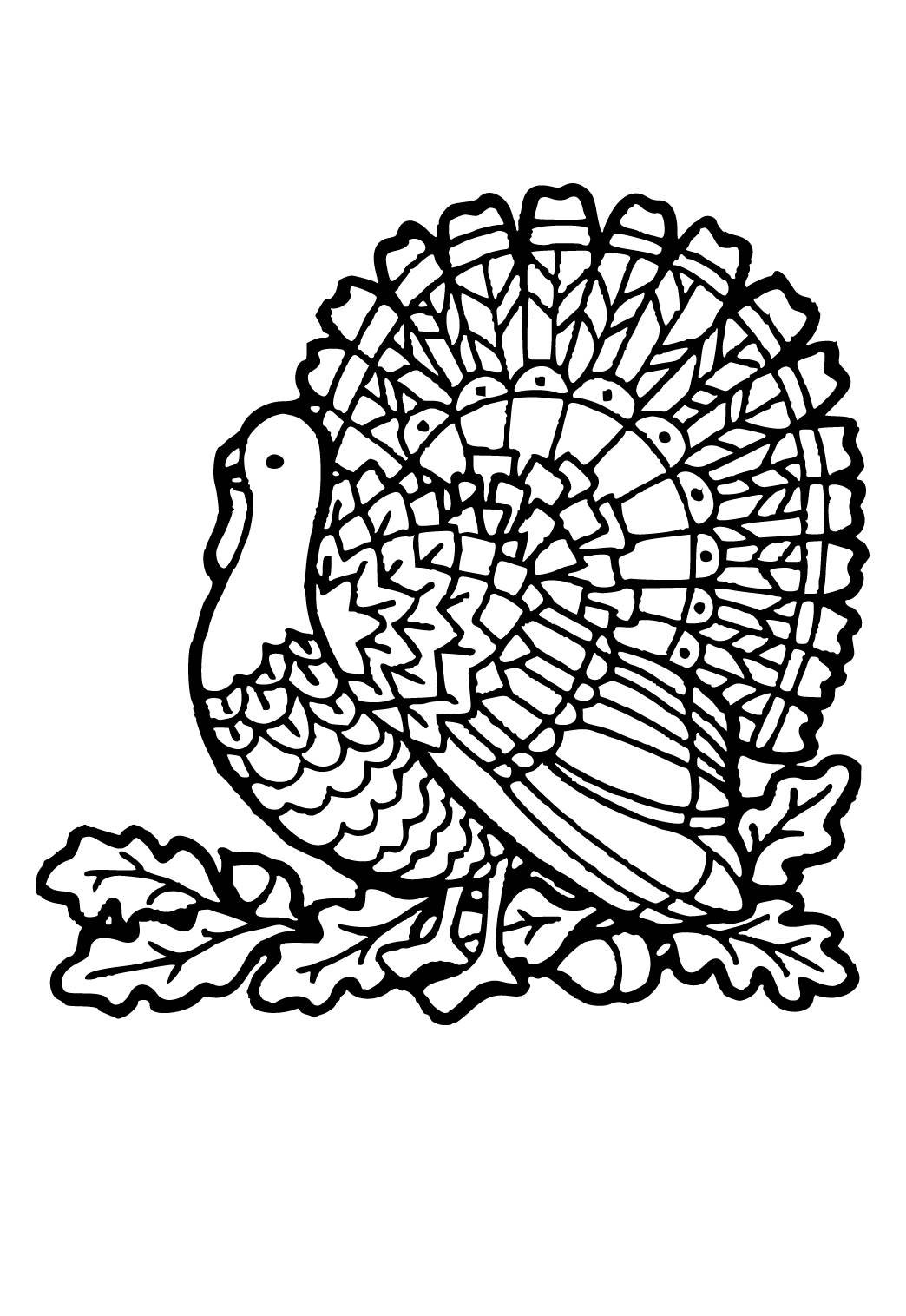 Раскраска для детей Индюк