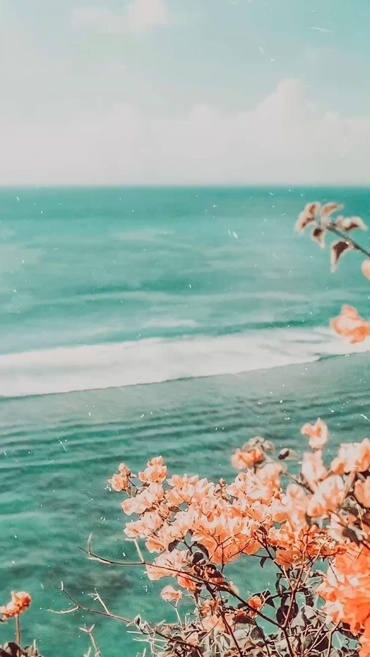 Природа картинки на телефон