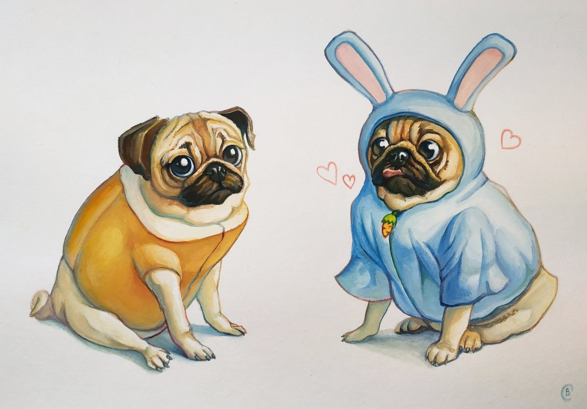 Мопс картинка рисунок