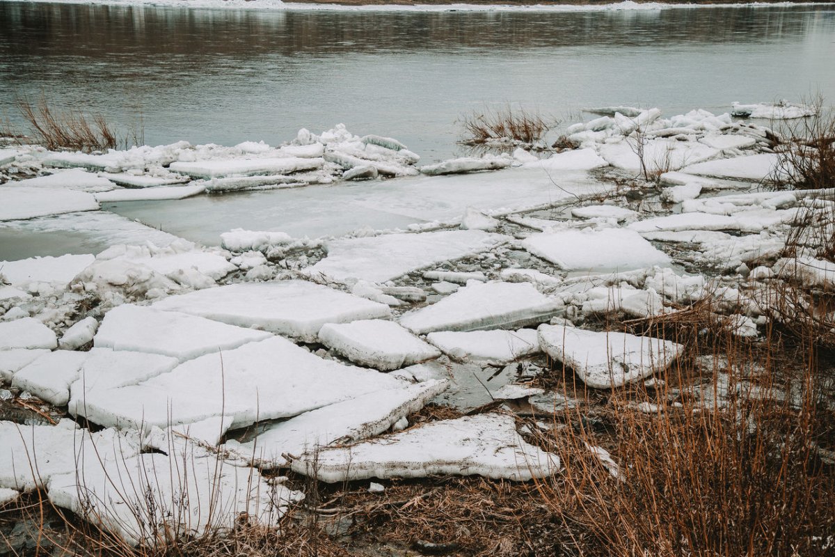 Картинка для детей ледоход весной