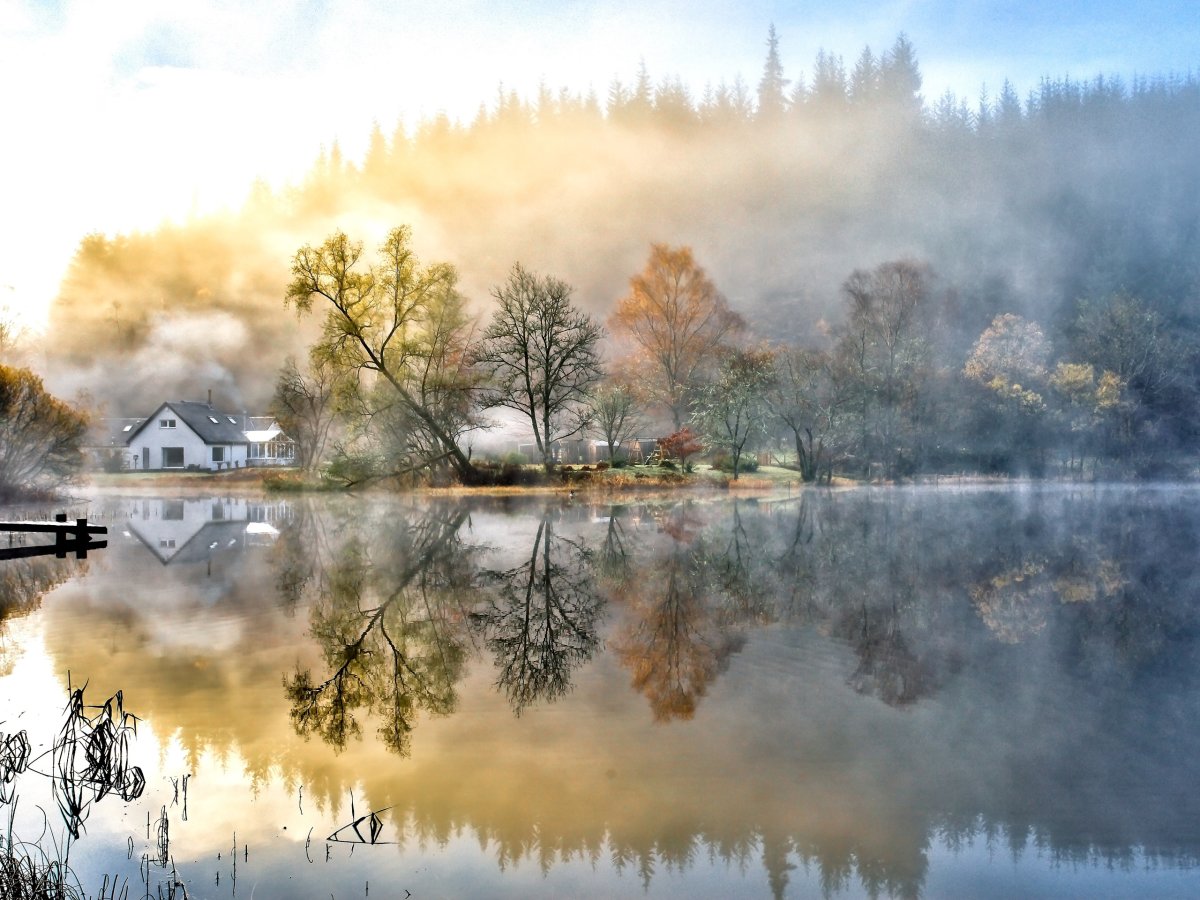 Доброе утро туман картинки