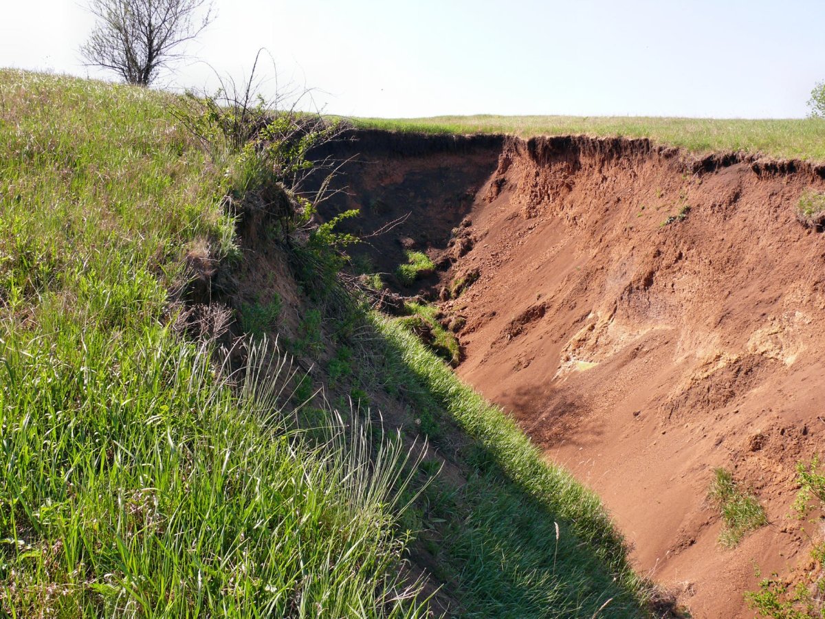 Овраг картинка