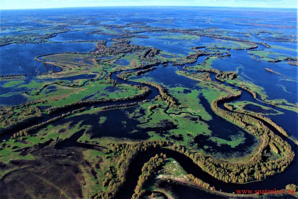 Река обь картинки