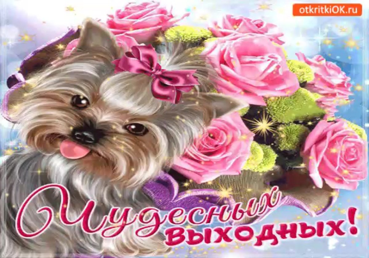 Замечательных выходных картинки красивые